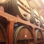 Long rows of gigantic wooden barrels fill these cellars